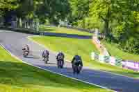 Lower Group Black Bikes